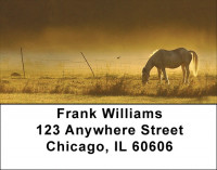 Early Morning Address Labels | LBZANI-80