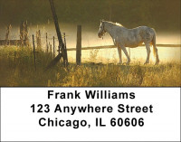 Early Morning Address Labels | LBZANI-80