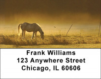 Early Morning Address Labels | LBZANI-80