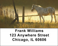 Early Morning Address Labels | LBZANI-80