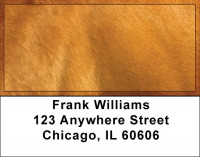 Horses Up Close and Personal Address Labels | LBZANI-83