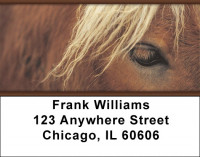 Horses Seeing Eye to Eye Address Labels | LBZANI-85