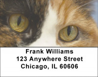 My Point of View Address Labels | LBZANI-86