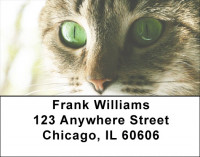 My Point of View Address Labels | LBZANI-86