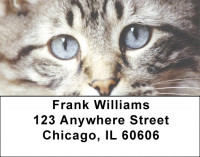 My Point of View Address Labels | LBZANI-86