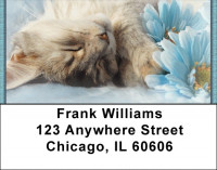 House Cats, the Kittens Address Labels | LBZANI-87