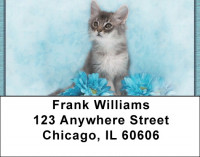 House Cats, the Kittens Address Labels | LBZANI-87