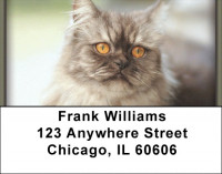 Persian Pedigrees Address Labels | LBZANI-88