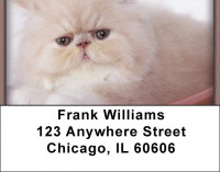 Persian Pedigrees Address Labels | LBZANI-88