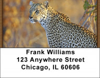 Can't Change His Spots Address Labels | LBZANI-93