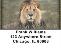 The Jungle Royals Address Labels | LBZANI-96