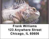 Razzle-Dazzle Reptiles Address Labels | LBZANI-97
