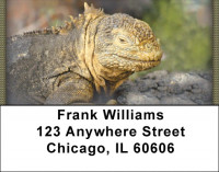 Razzle-Dazzle Reptiles Address Labels | LBZANI-97