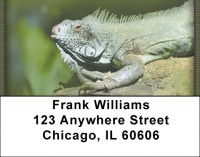 Razzle-Dazzle Reptiles Address Labels | LBZANI-97