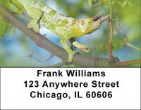 Lively Lizards Address Labels | LBZANI-98