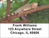 Lively Lizards Address Labels | LBZANI-98