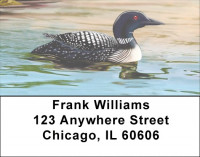 Composure Address Labels | LBZANI-99