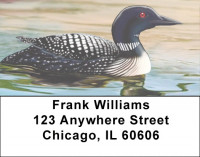 Composure Address Labels | LBZANI-99