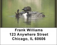 Nesting Loons Address Labels | LBZANJ-02