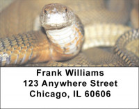 Slithering Serpents Address Labels | LBZANJ-04