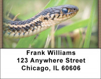 Hissy Fit Address Labels | LBZANJ-07