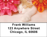 Flowers & Cats Address Labels | LBZANJ-11