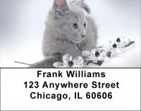 Flowers & Felines Address Labels | LBZANJ-12