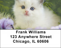 Flowers & Felines Address Labels | LBZANJ-12