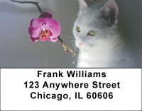 Flowers & Felines Address Labels | LBZANJ-12