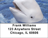 Beluga Address Labels | LBZANJ-14