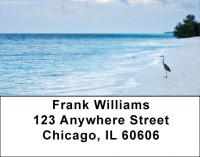Beach Birds Address Labels | LBZANJ-15