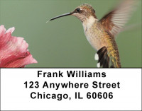 Out For A Spin Address Labels | LBZANJ-16