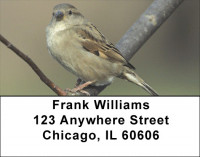 Sparrow In Spring Address Labels | LBZANJ-17