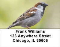 Sparrow In Spring Address Labels | LBZANJ-17