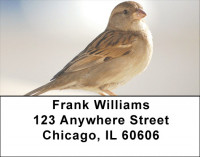 Sparrow Inspirations Address Labels | LBZANJ-19
