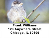 Sparrow Inspirations Address Labels | LBZANJ-19