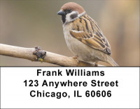Sparrow Simplicity Address Labels | LBZANJ-20