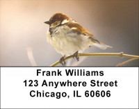 Sparrows At Daybreak Address Labels | LBZANJ-21
