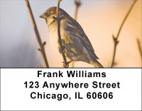 Sparrows At Daybreak Address Labels | LBZANJ-21