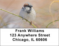 Sparrows At Daybreak Address Labels | LBZANJ-21