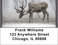 Rudolph Address Labels | LBZANJ-23