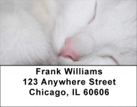 Total Bliss Address Labels | LBZANJ-24