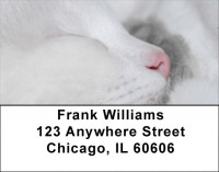 Total Bliss Address Labels | LBZANJ-24