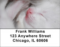 Total Bliss Address Labels | LBZANJ-24