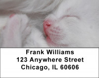 Total Bliss Address Labels | LBZANJ-24