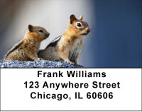 Baby Chipmunk With Mother Address Labels | LBZANJ-25