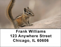 Chipmunk Portraits Address Labels | LBZANJ-26