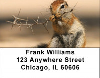 Chipmunk Portraits Address Labels | LBZANJ-26