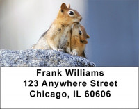 Chipmunk Portraits Address Labels | LBZANJ-26