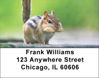 Chipmunks Everywhere Address Labels | LBZANJ-27